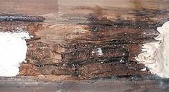 E-Wood - Log Home Center
