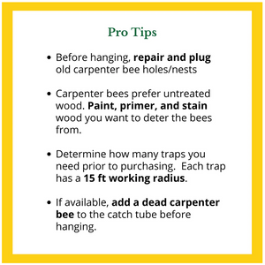 CARPENTER BEE TRAP BEST BEE BROTHERS - Log Home Center